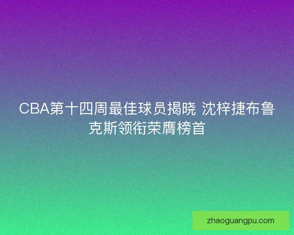 CBA第十四周最佳球员揭晓 沈梓捷布鲁克斯领衔荣膺榜首