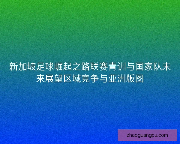 新加坡足球崛起之路联赛青训与国家队未来展望区域竞争与亚洲版图