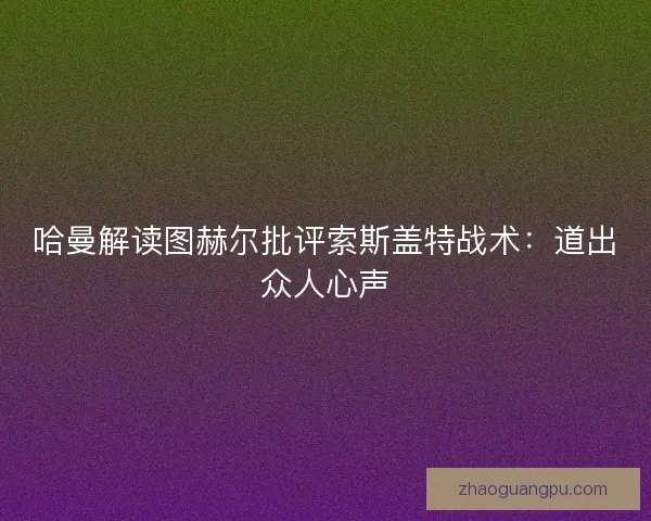 哈曼解读图赫尔批评索斯盖特战术：道出众人心声